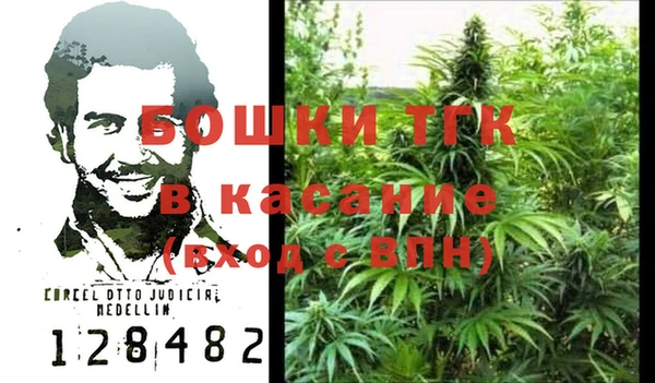 тгк Богданович