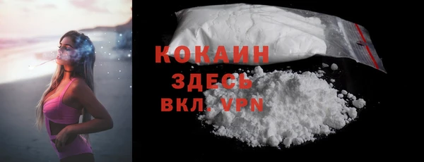 бошки Богородицк