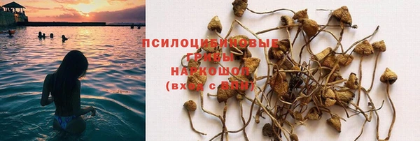 2c-b Богородск