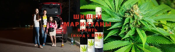 тгк Богданович